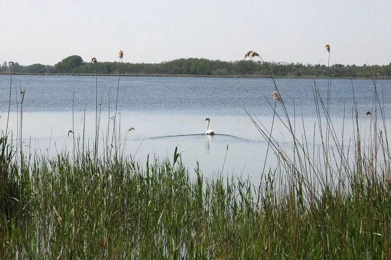 Погода в зункаре