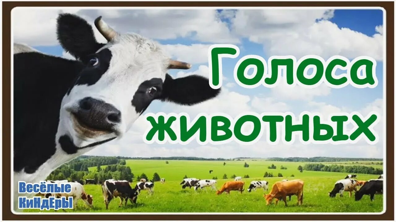 Голос зверей и птиц