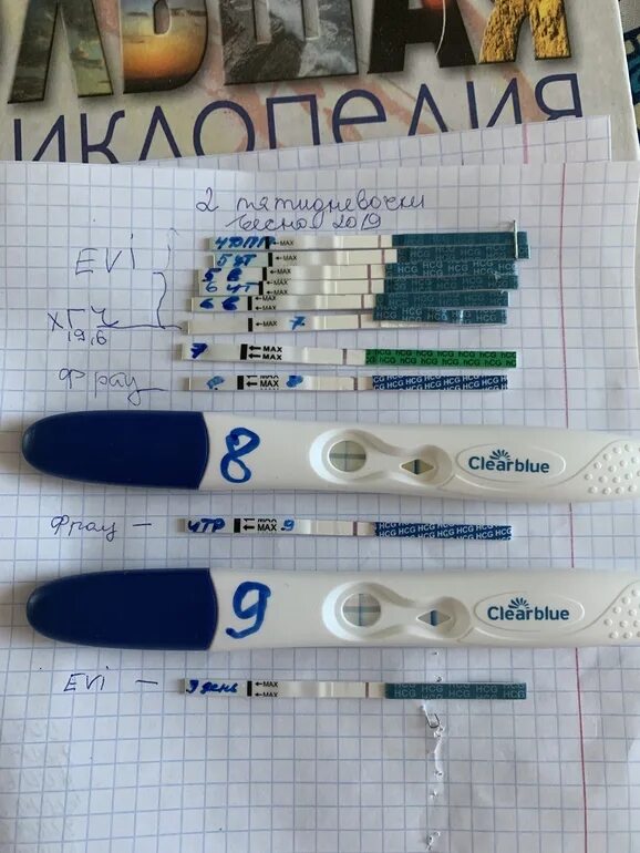 Тест Clearblue на 5дпп. 6 ДПП крио тест. 5 ДПП тест. 8дпп тест на беременность.