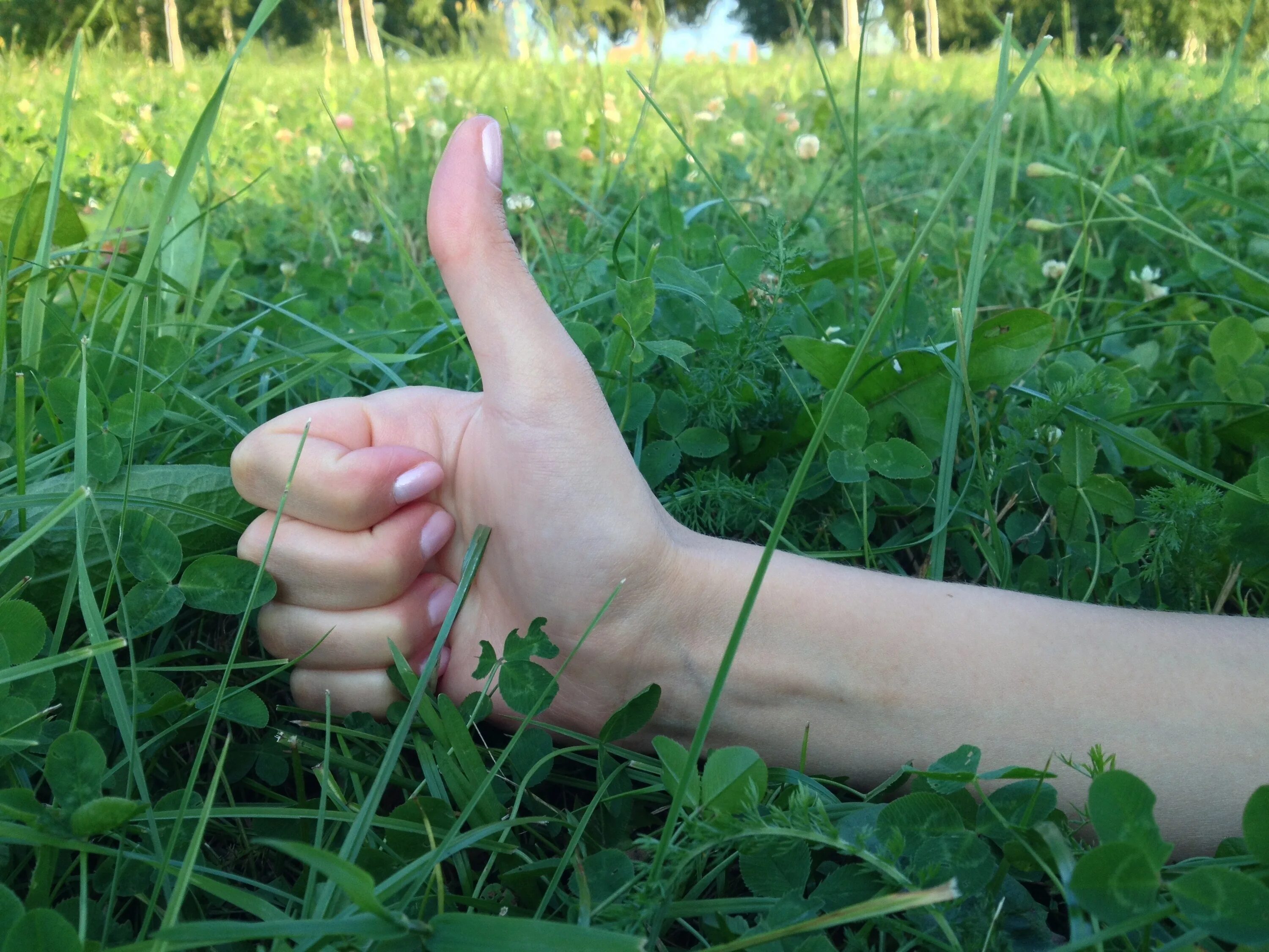 Трава в руке. Травинка в руке. Пальцы на траве. Быть твоей травой