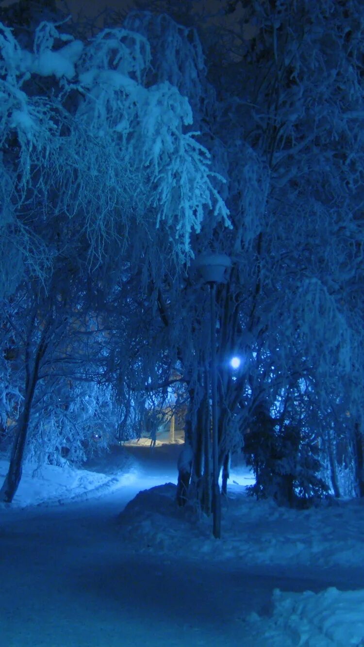 Зима ночь. Зимний пейзаж ночью. Ночь зимой. Зима. К вечеру.