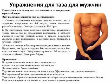 Тазовые мышцы у мужчин упражнения