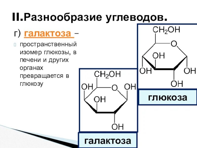 Углеводы вариант 1