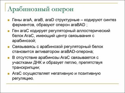 В опероне отсутствуют