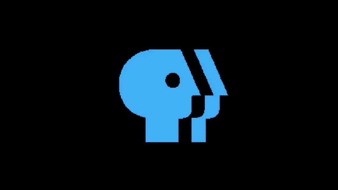 P head. Pbs. pbs логотип. pbs 1984. pbs p head logo.