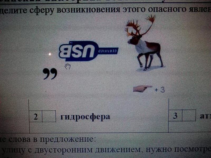 Ребус ответ зебра. Ребус ответ зебра