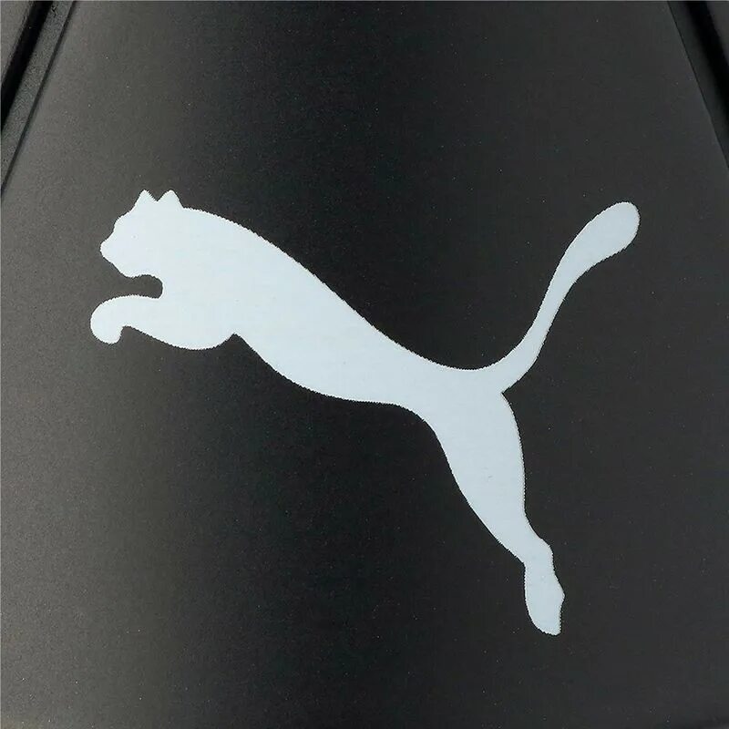 Пум пурипан сапсэнсават. Пума лого. логотип puma 2025. puma на белом фоне.