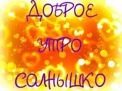 Любит солнце 4 буквы