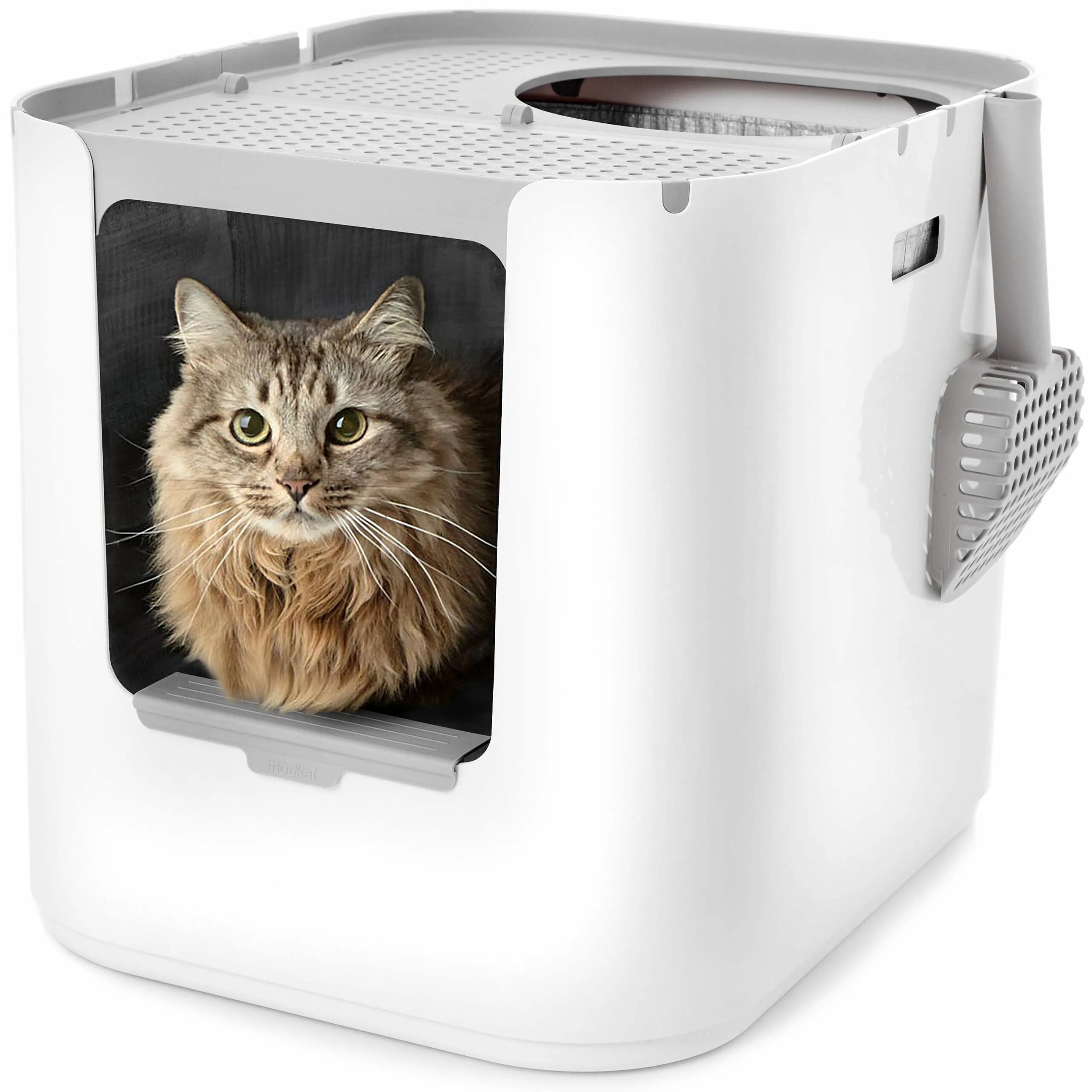 Туалет для кошек. Лоток moderna Top Cat. Modkat Litter Box. Moderna Top Cat 59х39х38. Moderna Top Cat кошачий туалет.