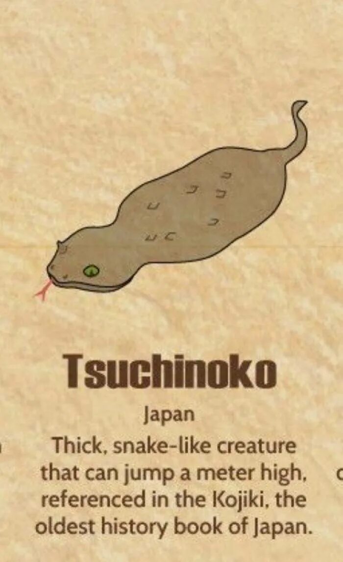 Цутиноко животное. Цутиноко существует. Tsuchinoko snake. Цутиноко мифология. Цутиноко мифология.