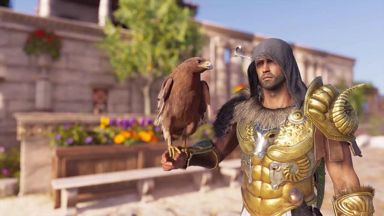 Броня ассасин крид одиссея. Assassins Creed Odyssey доспехи. Assassins Creed Odyssey золотое Руно Ясона сет. Золотое Руно броня. Golden Fleece.