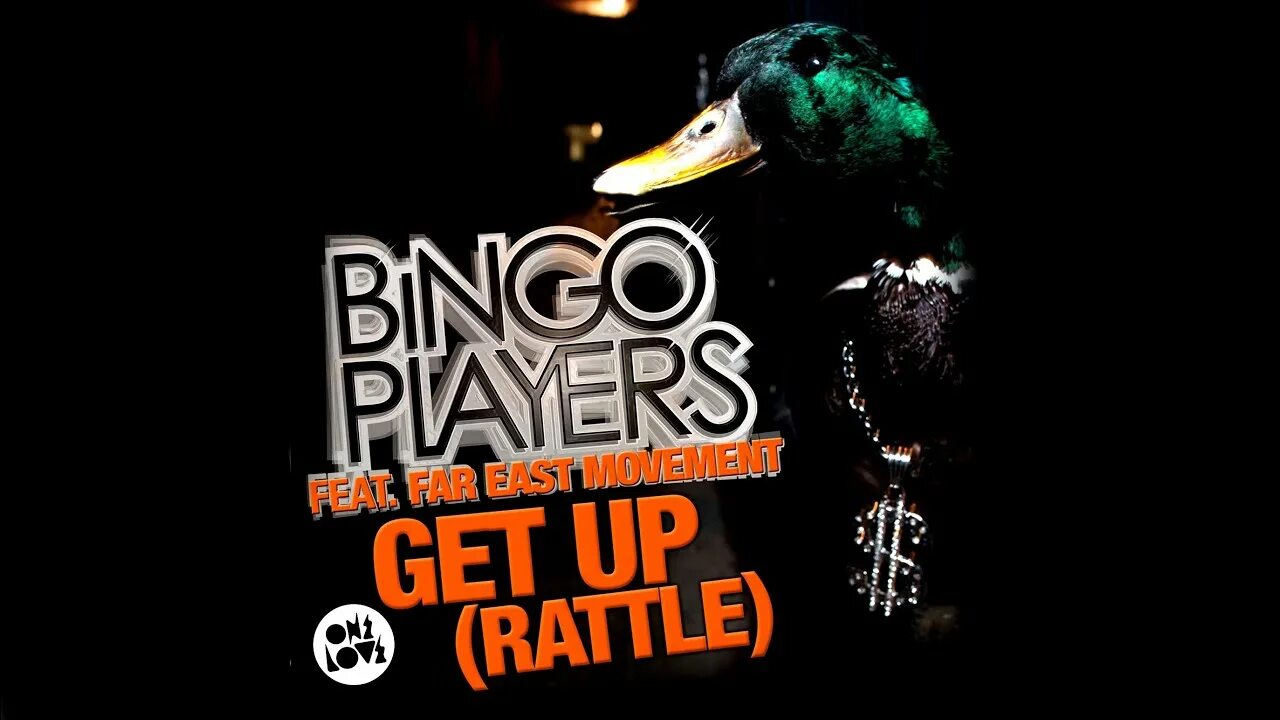 Get up now get up now. Bingo Players. Bingo Players фото. Bingo Players ft. Far East Movement get up DJ A-one. Утка из клипа get up.