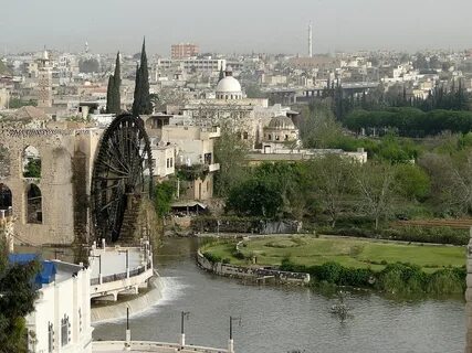Город хам