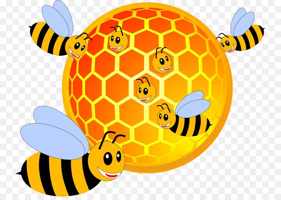 соты пчелиные. пчела трафарет для детей. пчела рисунок. мед соты пчелы вектор. пчелки соты.