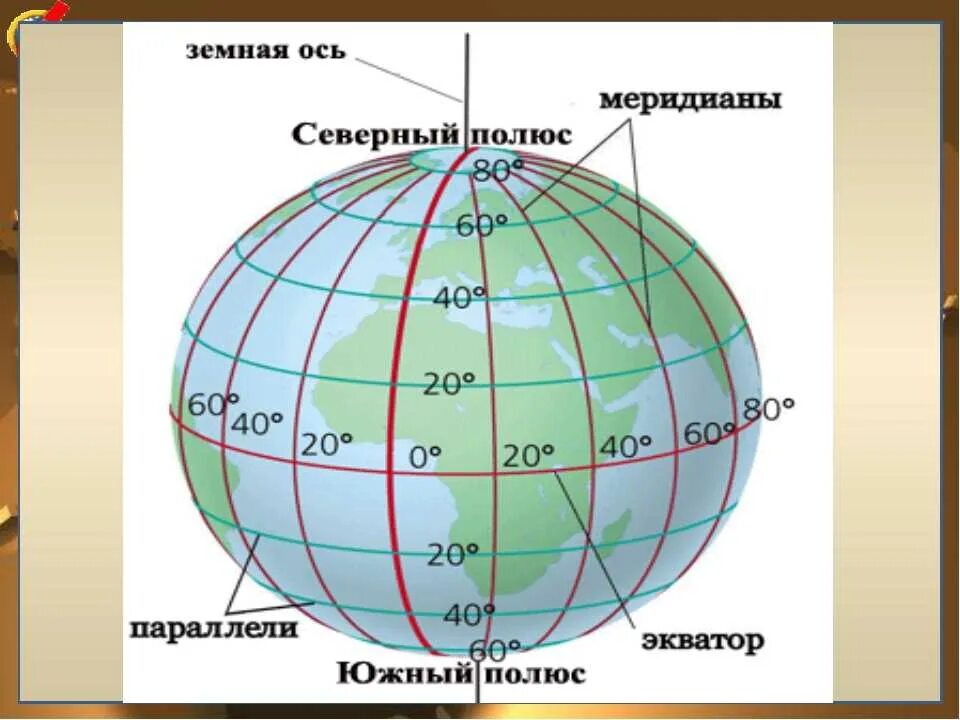 Градусная сетка полушарий. Нулевой Меридиан на карте полушарий. Параллели Мередиан Экватор ну левой. Глобус меридианы параллели Экватор. Экватор Меридиан параллель.