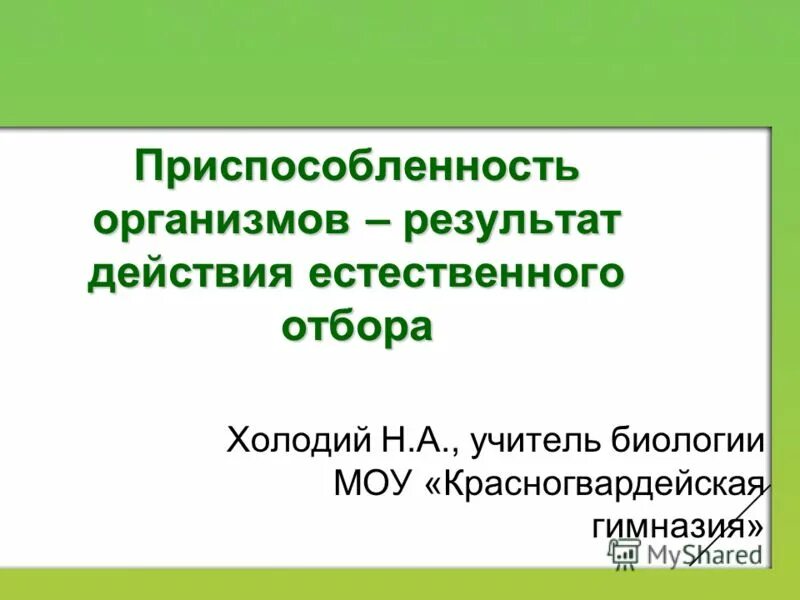 приспособленность организмов как результат естественного отбора. возникновение приспособлений у организмов. адаптационные приспособленности организмов. приспособленность организмов как результат естественного отбора. приспособленность организмов как результат естественного отбора.