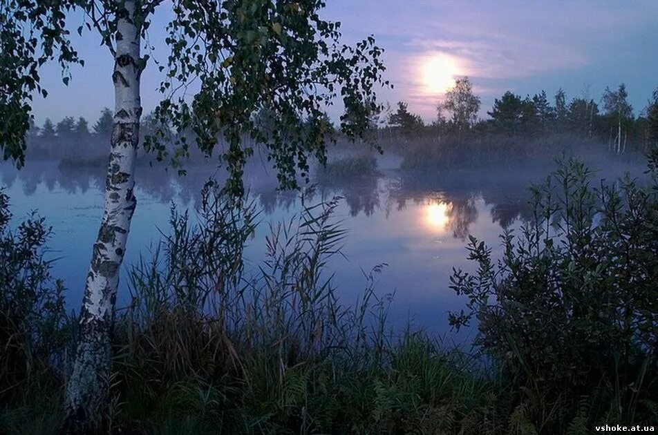 Вдали от глаз. Тихого летнего вечера. Добрый вечер природа. Спокойной летней ночи. Природа России ночью.