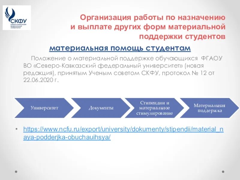 Социальная защита студентов. Социальная стипендия СКФУ. Другие формы материальной поддержки. СКФУ презентация шаблон. Меры социальной поддержки студентам