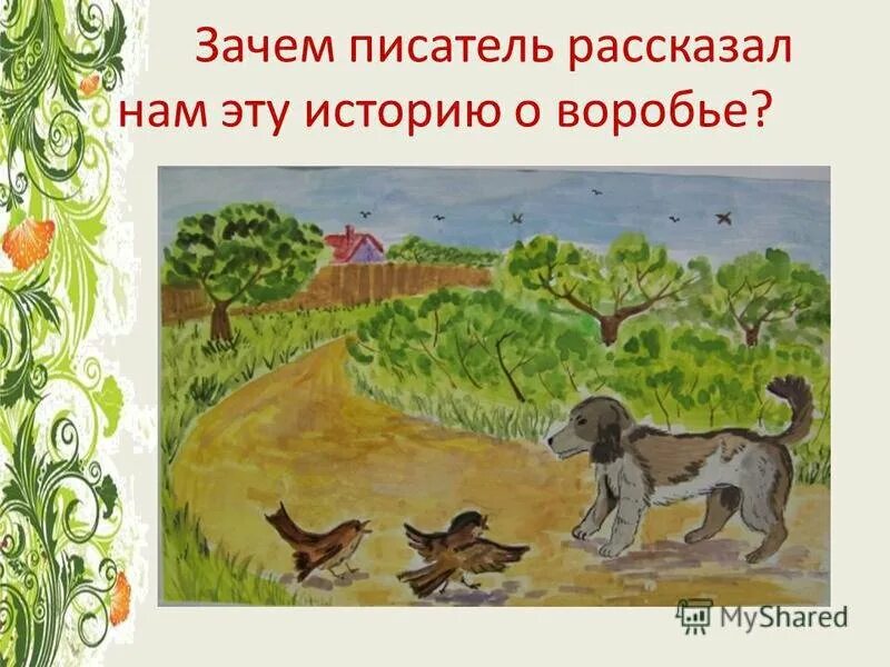 Иллюстрация к рассказу Воробей Тургенев. Рисунок к рассказу Воробей Тургенева.