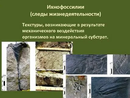 Геология презентация