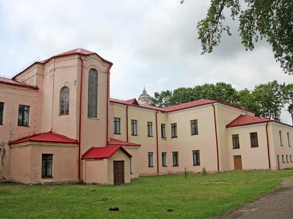 колледж несвиж. несвижский колледж. несвижский колледж. несвижский государственный колледж имени якуба коласа. бенедиктинок+несвиж.