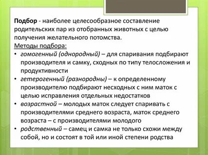 Сайт подбор пар