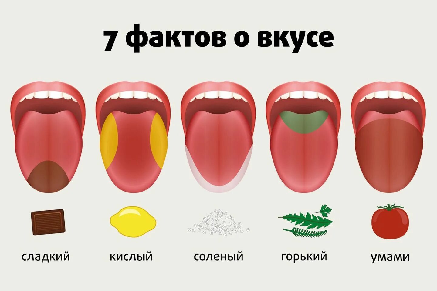 Сколько видов вкусов