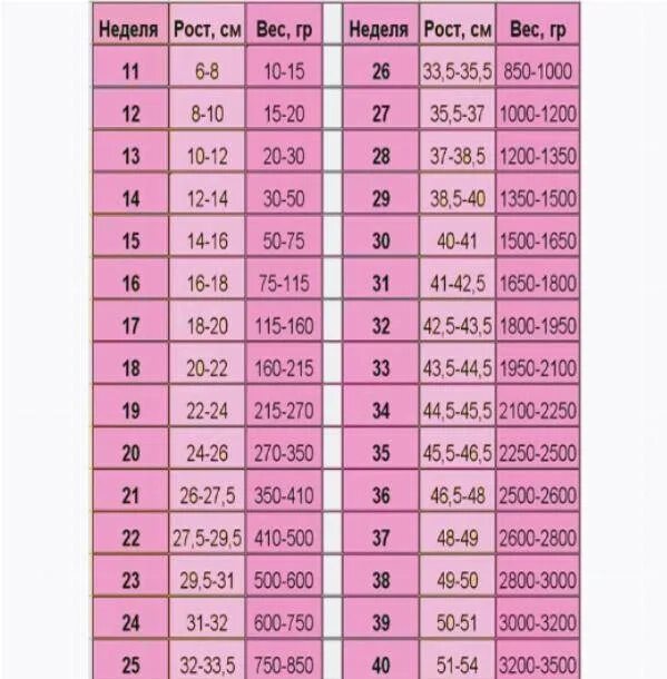 Вес ребенка на 33 неделе. Нормальный вес плода на 36 неделе беременности. Вес ребёнка на 26 неделе беременности норма. Вес плода по неделям беременности таблица. Вес ребенка в неделях.