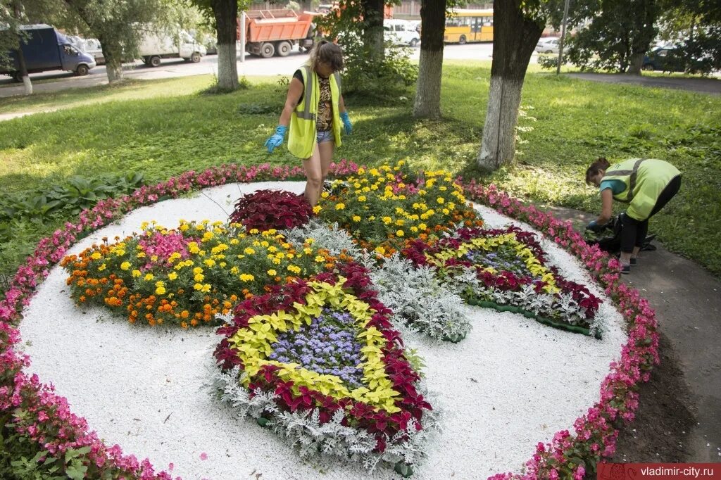 Продолжить украсить. Красивые клумбы. Клумба с цветами. Городские клумбы. Красивые городские клумбы.