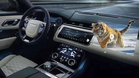 Rover jaguar