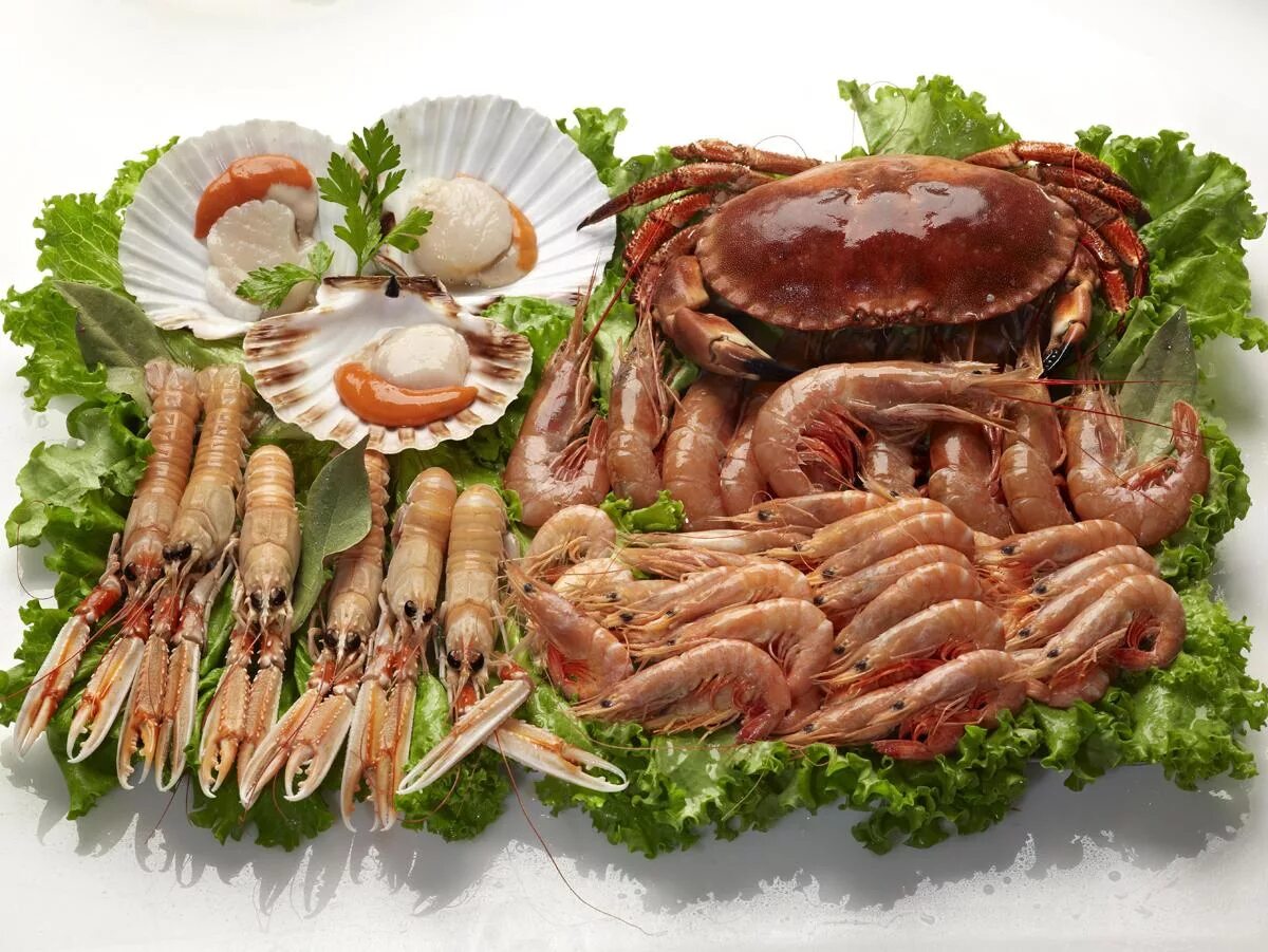 Деликатес это. Морепродукты галисия. морские деликатесы. деликатесы еда. дальневосточные деликатесы.