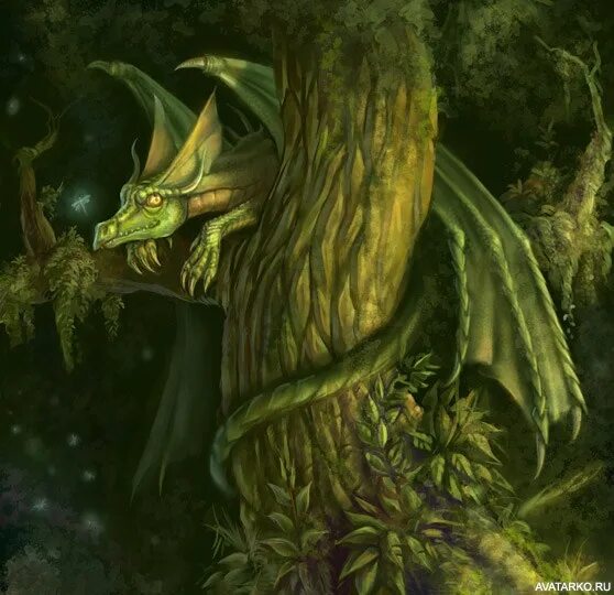 Рисунок зеленого деревянного дракона. Лесной дракон. Древесный дракон. Зеленый деревянный дракон. Дракон в лесу.