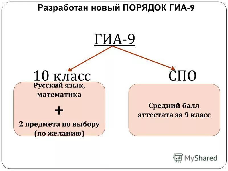 история 10 класс спо