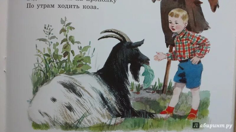 Полезная коза. Барто коза. стих полезная коза.
