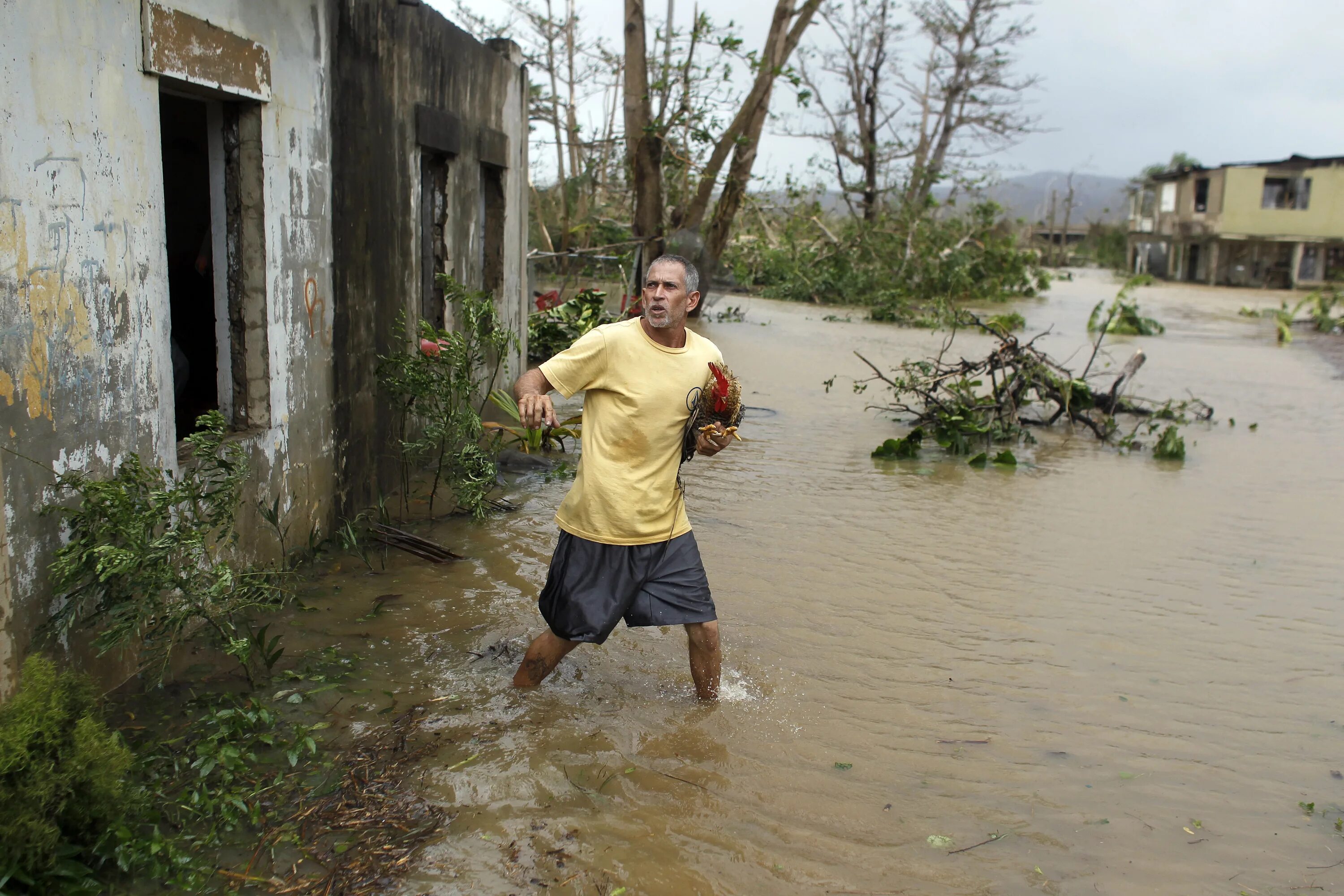 Hurricane maria. Ураган Пуэрто Рико 2017. Ураганы на карибских островах.