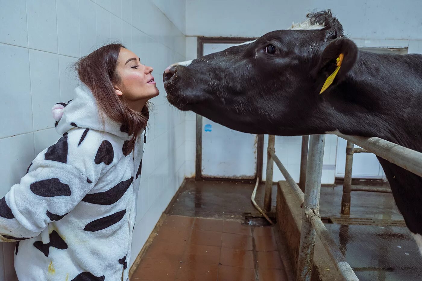 Телки коровы. Женщина корова. Фотосессия с коровой. Красивая девушка с коровой.