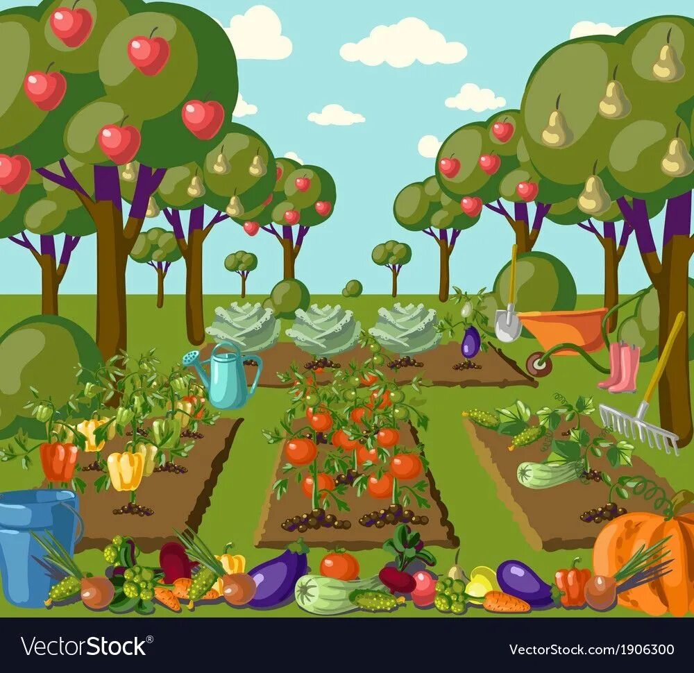Фруктовый сад в детском саду. Огород с овощами для детей. Огород с грядками для детей. Грядка с овощами для детей. Огород рисунок для детей.