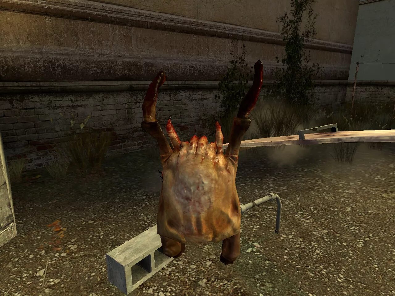 Half life headcrab