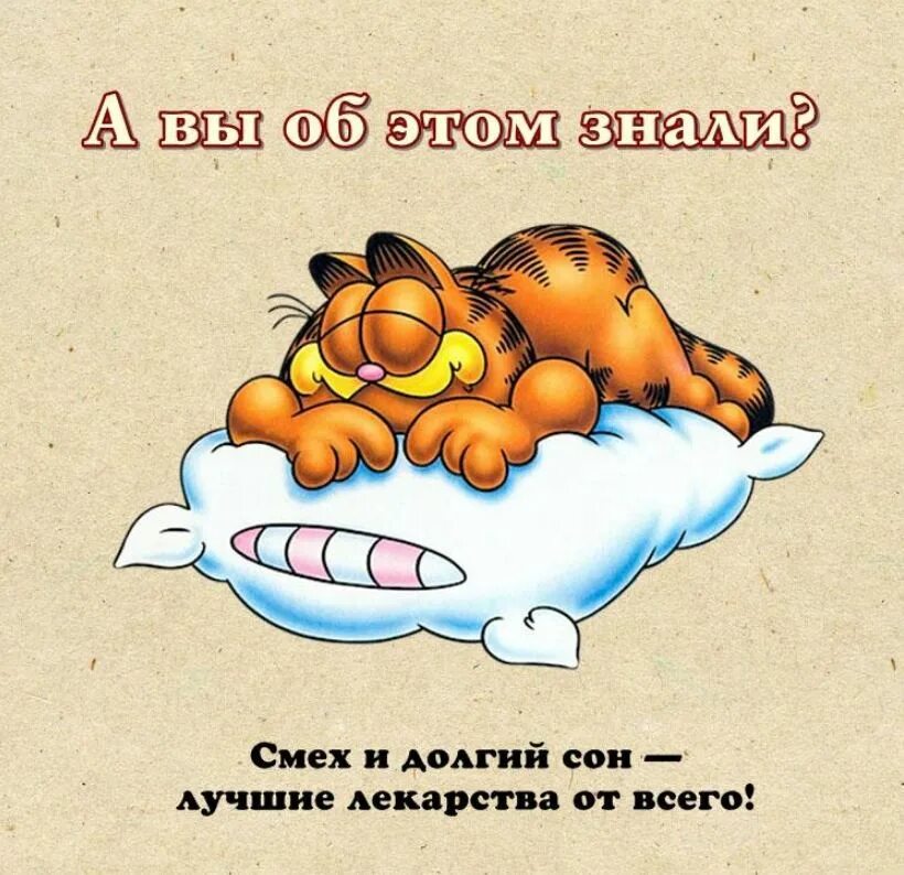 Смех и юмор