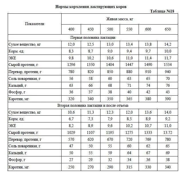 Сколько комбикорма давать корове