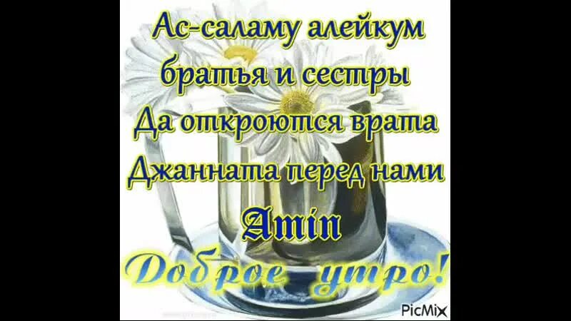 Как ответить на ассаламу алейкум ва рахматуллахи. Доброе утро братья мусульмане. ассалам алейкум с добрым утром. приветствие с добрым утром по мусульмански. ассаламуаллейкум и доброго утра всем.