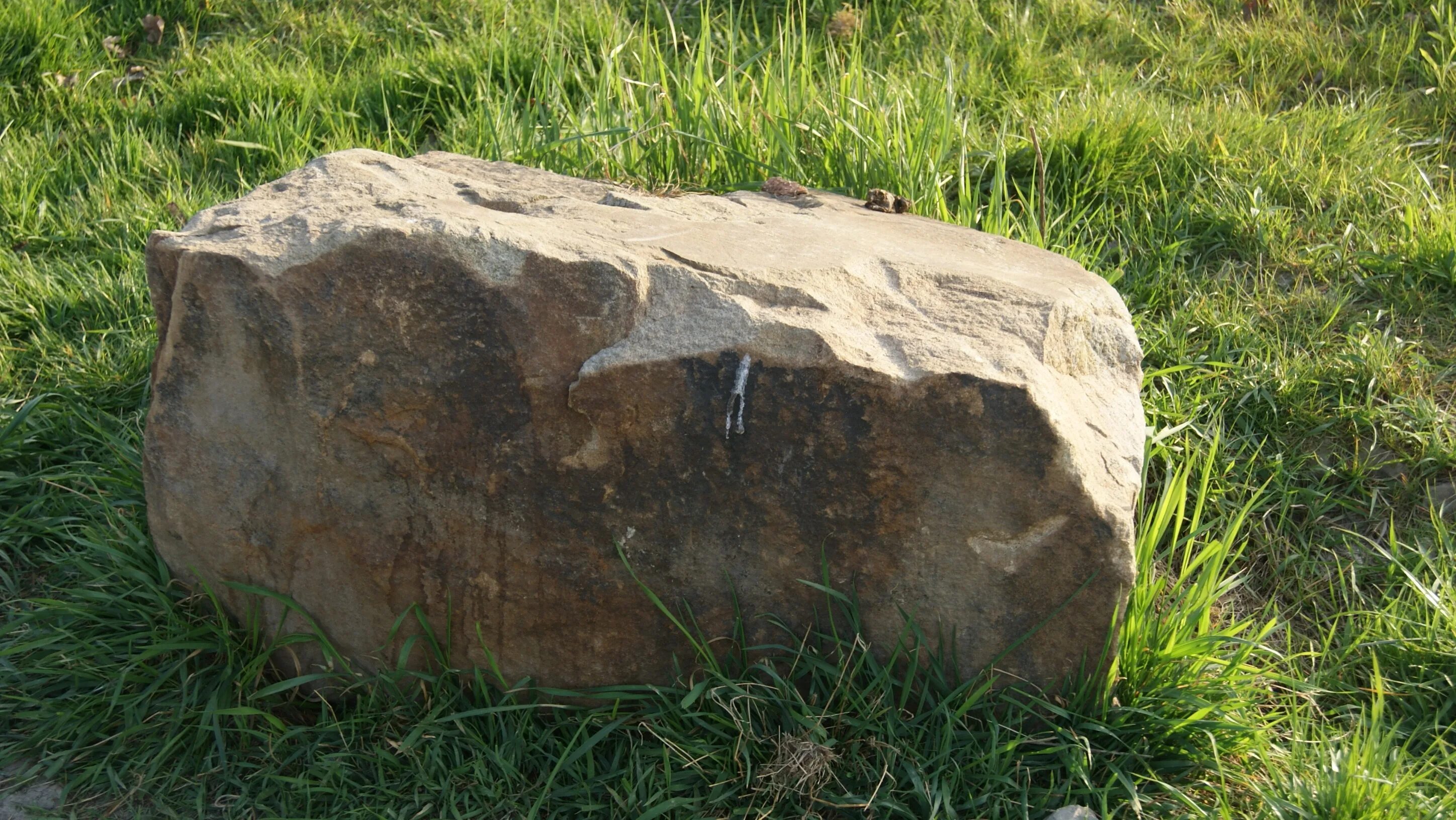 Ни камень. БЕДРОК камень. Камни в траве. Огромный плоский камень. Ровный камень.