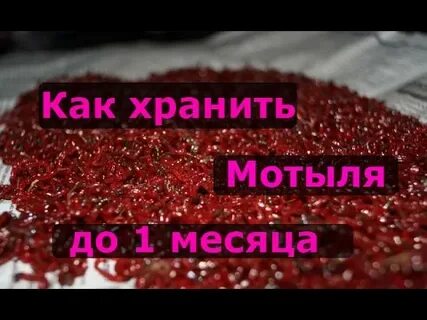 Как сохранить мотыля