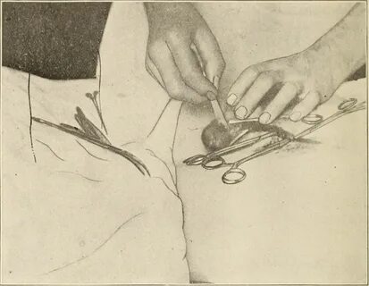 File:Wisconsin medical recorder (1905) (14779654884).jpg 