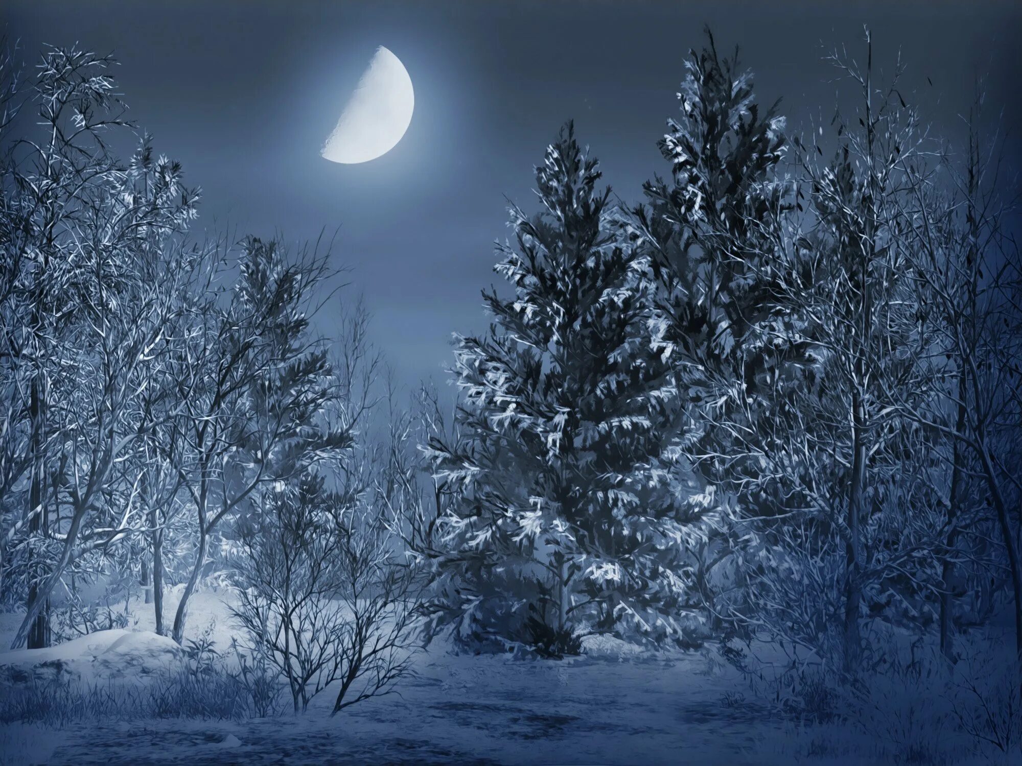 Зимняя ночь. Ночной зимний лес. Зимний лес ночью. Зимний ночной пейзаж. Темнота раннего зимнего
