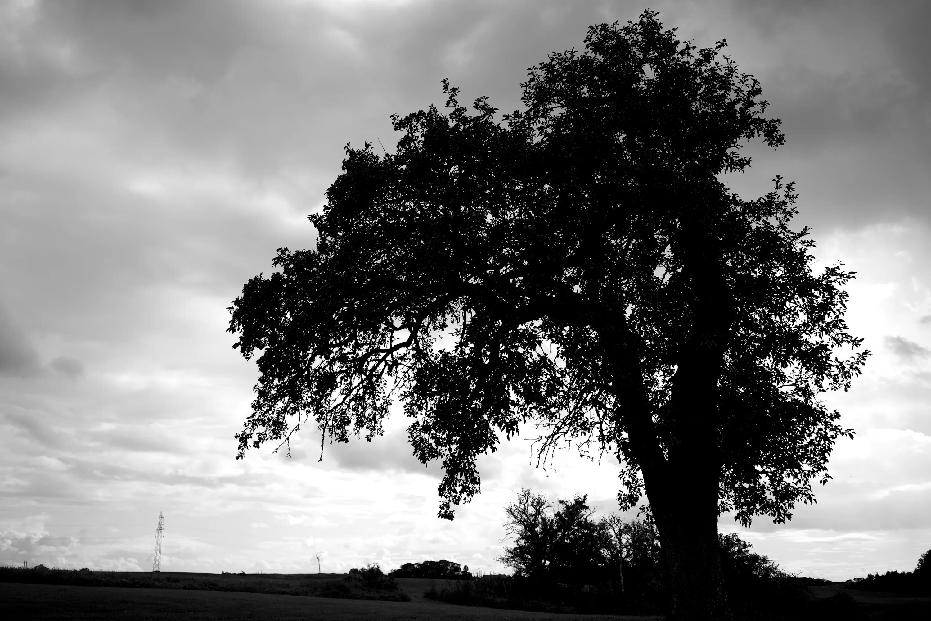 Берлин. Черно-белая серия.. Photographer Evgeniya Mannik