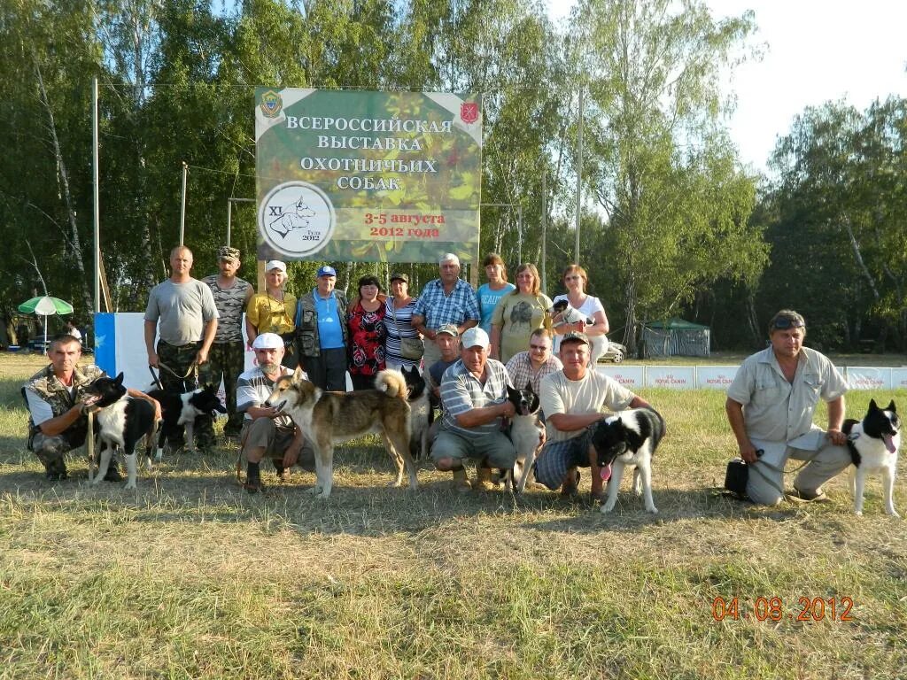 Собакам тула