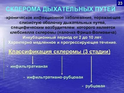 Возбудители дыхательных путей