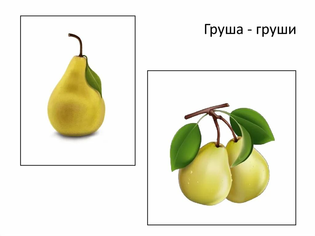 Груша найти слова. Груша карточка. Один много фрукты. Груша карточка для детей. Груша задания для детей.