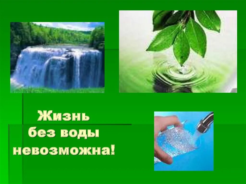 Форум без воды. Жизнь без воды невозможна. Без воды невозможно жить. Вода это жизнь. Без воды невозможна жизнь на земле.